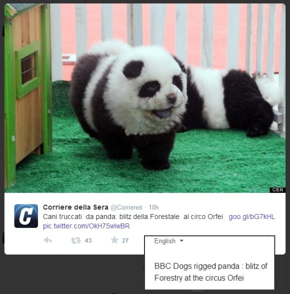 Corriere della Sera Tweet: Panda Dogs