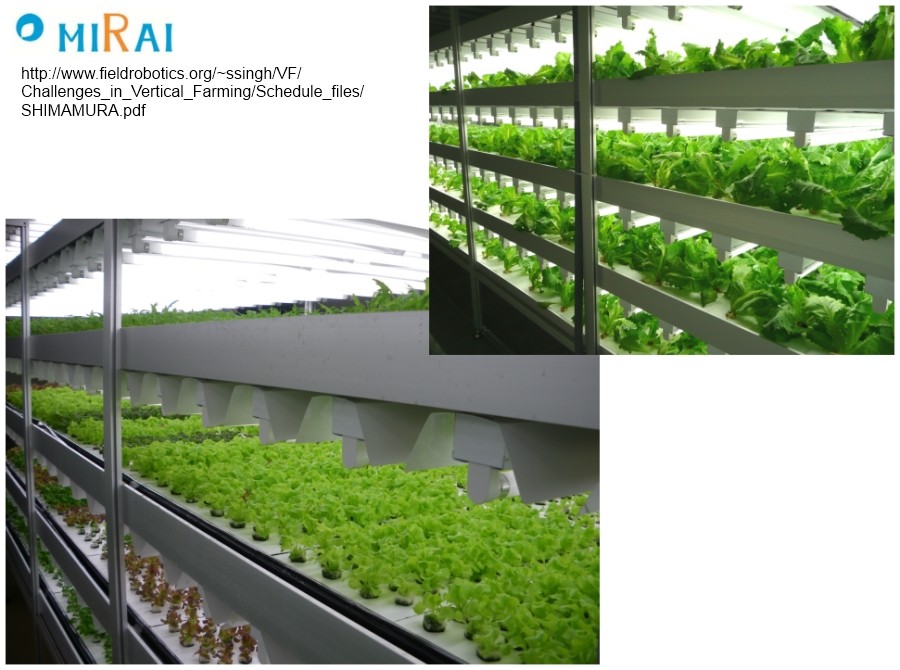 Japan's Indoor Farms