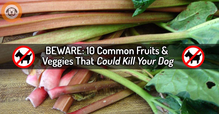 beware fruits and veggies