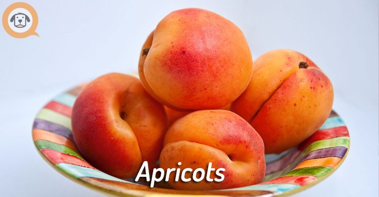 apricots