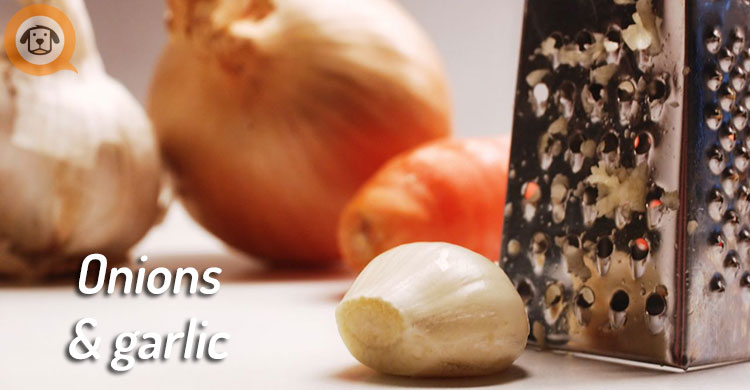 onions-and-garlic