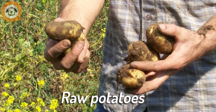 raw potatos